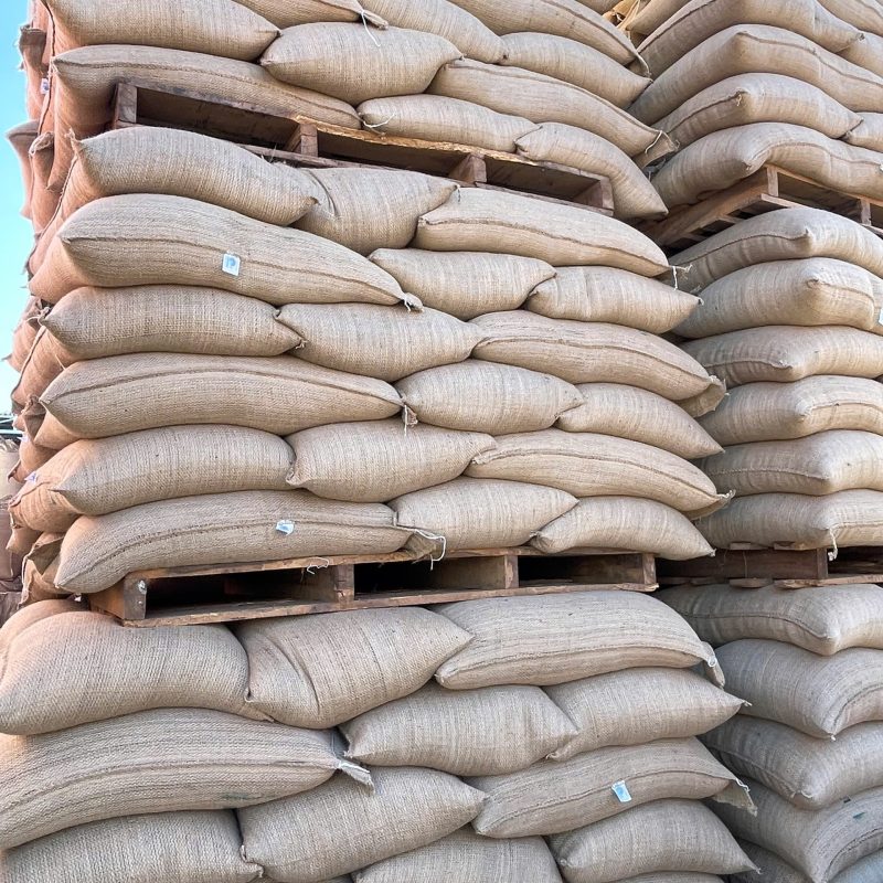 Bao Đay (Bao Bố) Đựng Cà Phê Xuất Khẩu 60kg – Jute Coffee Bag - In theo yêu cầu